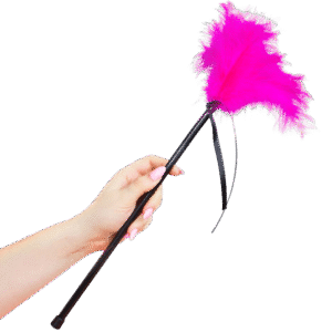 SECRETPLAY - PLUMERO PLUMAS ROSA 40 CM